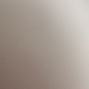 Meet your Posher, Bella